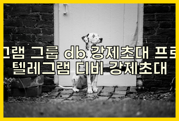 텔레그램 번호 디비 강제초대